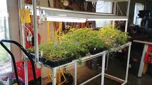 How To Build An Indoor Grow Light Table Mother Earth News