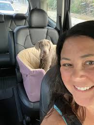 Went to my vet check up, all went well and apparently this guy is 14.6lbs.