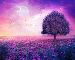 Descarga y usa 100.000+ fotos de archivo de fondo de pantalla de la computadora gratis. 22 Imagenes Muy Lindas Que Puedes Utilizar Como Fondos Para Tu Pc Laptop Ipad Y Tabletas En General Free Wallpapers Champ De Fleurs Fleurs Fleurs Nature