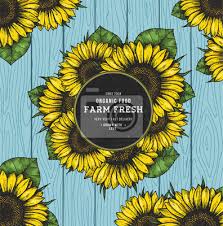 Check spelling or type a new query. Sonnenblumen Karten Design Vorlage Sonnenblumen Runde Komposition Fototapete Fototapeten Schone Gemutlich Sonnenblume Myloview De
