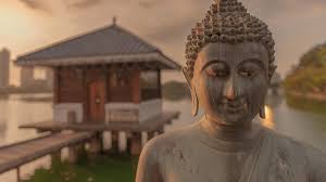 Jason Row Photography