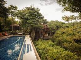 Taman botani pulau pinang (ms); 10 Hotel Terbaik Dekat Taman Botani Penang Di Balik Pulau Malaysia