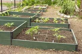 The first is to take advantage of the sun and shadier areas of your patio to grow the crops best suited for those areas. Vegetable Gardening For Beginners Small Vegetable Garden Ideas