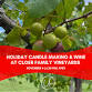 HOLIDAY CANDLE MAKING & WINE AT CLOER FAMILY VINEYARD event image