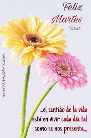 We did not find results for: â„±â„°â„'â„â„¤ â„³ê­¿â„›ê®–â„°Ñ• ê®–ê­¿â„›ê®Žê®– Felizmartes Tarot Tarotdelam Flickr Morning Greeting Good Morning Good Night Feliz