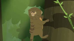 The camel spider is no exception to immortal characteristics, as its loooong and hairy body has an alarming hunting and famous for some of the most spectacular stretches of coastline in the world, southern europe is on every bucket list. Pygmy Marmoset Wild Kratts Wiki Fandom Pygmy Marmoset Pet Birds Wild Kratts
