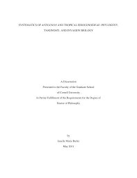 Image result for Afrobrunnichia erecta