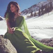 Actresses has a short span in films says the pretty sai pallavi at the. Photos Sai Pallavi S Saree Looks Define Simplicity And Elegance Check It Out