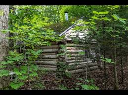 Maybe you would like to learn more about one of these? How To Build An Off Grid Log Cabin For Free Youtube