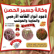 < 100 видео и каналов. Ø§Ø¬ÙˆØ¯ Ø§Ù†ÙˆØ§Ø¹ Ø§Ù„Ù‚Ø§Øª Ø§Ù„Ø£Ø±Ø­Ø¨ÙŠ Ø²Ù†Ø¯Ø§Ù†ÙŠ ÙˆÙƒØ§Ù„Ø© Ø¬Ø³Ù…Ø± Ù„Ù„Ù‚Ø§Øª Ø§Ù„Ø£Ø±Ø­Ø¨ÙŠ Facebook