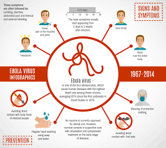 Diese ohne symptome infizierten werden bei der ermittlung der letalität nicht erfasst. Ebola Virus Infografiken 428183 Vektor Kunst Bei Vecteezy