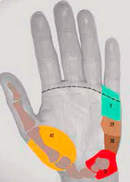 Norsk tipping tilbyr lotterier, oddsen, flax, kasinospill og mye annet. Norske Naturterapeuters Hovedorganisasjon Introduksjon Til Refleksologi For Soneterapeuter Norske Naturterapeuters Hovedorganisasjon