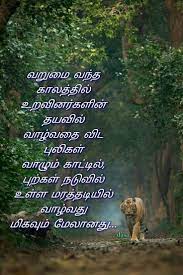 Pin By Dasa On Tamil Photo Album Quote Picture Quotes Tamil Motivational Quotes
