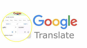 Información del traductor de google. Vyczju D7bbgfm