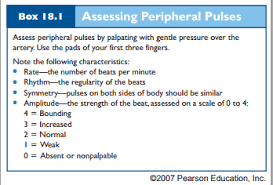 Assessing Peripheral Pulses Clinical Nurse Assessment
