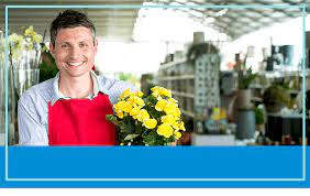 Why should i choose floraqueen for a new zealand flower delivery? Flowers From 39 Flowers Online New Zealand Nz Nzd En