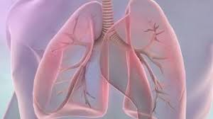 Read all about lung cancer symptoms, causes, stages, diagnosis & treatment at narayana health, the best the formation of cancerous cells that originates from lungs is called lung cancer. Symptoms Of Lung Cancer Youtube