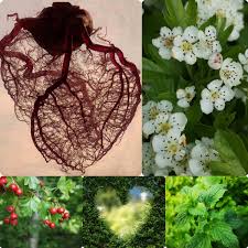 Či už to je sm systém, dns, metóda brunkow, pilates alebo yoga, každá si vyžaduje aktívny prístup pacienta, ak sa chce skutočne uzdraviť. Srdce Psychika A Fytoterapie Divotvurna Koprivnice Byliny Pro Dusi