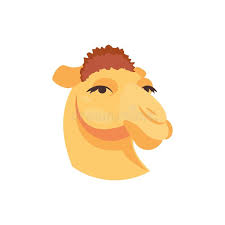 So my history teachers has a mannequin head on a stick that he named delores and he keeps her in his classroom but this week he's been gone and during theater we weren't doing anything so we hid delores and emailed the teacher a ransom note we made using cut out. Camel Muzzle Stock Illustrations 119 Camel Muzzle Stock Illustrations Vectors Clipart Dreamstime