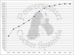 71 Most Popular Cocker Spaniel Weight Chart