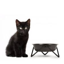 Gifts For Cats And Cat Lovers Nz Smack Bang Free returns 100% satisfaction guarantee fast shipping. gifts for cats and cat lovers nz