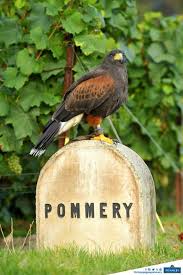 Champagne Pommery Domaine Pommery I Wanted This Estate To Read Like