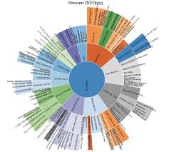 Docuburst Like Sunburst Diagram With D3 Stack Overflow