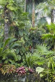 Palms Created A Layered Look In A Tropical Garden Tropical Garden Design Tropical Garden Tropical Landscaping