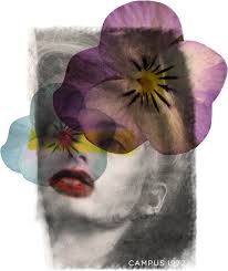 Lucy Wilhelm Psychotherapie