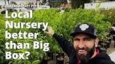 See 6 traveler reviews, 5 photos and blog posts. Parkview Nursery Fairy Supply Riverside Ca Part 2 Youtube