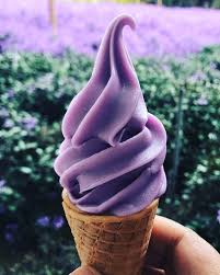 The good news is that cameron lavender garden officially opened today and everyone are welcome to visit. Lavender Garden Must See Lavender Farm In Cameron Highlands 2021