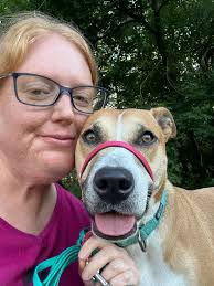 Adopting a pet companion