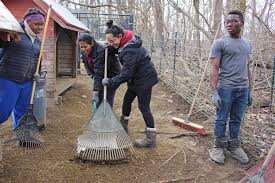 students volunteer at nonprofits during