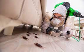 If you are living in shawnee kansas, you would have a clear understanding of how frustrating the pests are. Pest Control Services Kansas City Metro Area Catch It Wildlife Pest Control