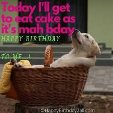 Get perfect thank you cards whatever the occasion! Birthday Wishes For Dog Puppy Pet Happy Birthday Dog Gif