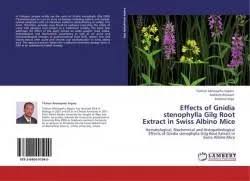 Image result for Gnidia stenophylla