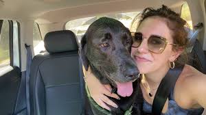 What are some available rooms for rent in north Seattle?