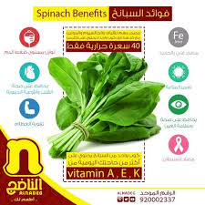 تعرف على بعض من فوائد السبانخ الصحية القيمة Organic Health Spinach Green Beans