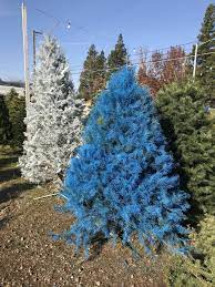 Maybe you would like to learn more about one of these? Mikey S Christmas Trees For Sale Christmas Tree Lot And Farm