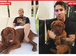 This dog is a beast, though the dog also. Ciro Messi Roccuzzo Opera News Nigeria