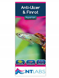 Most of the time bacteria is harmless provided that your aquarium is frequently cleaned. Medication Treatment Nt Labs Anti Ulcer And Finrot Aquarium Tail Rot Mouth Tropical Coldwater