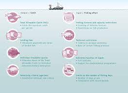 Maybe you would like to learn more about one of these? Fisheries Management World Ocean Review