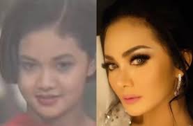 Dari dulu sudah bibit unggul. Akui Operasi Plastik Demi Suami 5 Transformasi Diva Krisdayanti Matamata Com