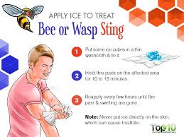 How To Treat A Bee Or Wasp Sting Top 10 Home Remedies Wasp Stings Remedies For Bee Stings Wasp Stings Relief