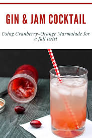 A Customizable 3 Ingredient Cocktail Made From Ingredients You Likely Always Have On Hand This Gin Cranb Holiday Recipes Drinks Orange Jam Flavored Drinks