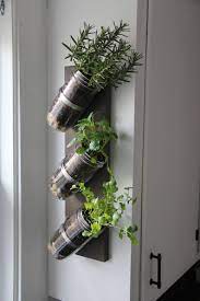 Indoor Herb Garden Mason Jar Herb Garden Mason Jar Decor Mason Jar Planter In 2021 Mason Jar Herb Garden Mason Jar Herbs Indoor Garden Apartment