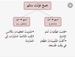 حتة قفا دا هيرفع عينه فيها ازاي تاني دا لا هيرفع عينه في اي شئ مؤنث ازاي تاني يفتكر رنة القفا بس هيدلدل علي طول a.kpic.twitter.com/irkfwkrc1y. ØªÙ…Ø§Ø±ÙŠÙ† Ø¹Ù„Ù‰ Ø¬Ù…Ø¹ Ø§Ù„Ù…Ø¤Ù†Ø« Ø§Ù„Ø³Ø§Ù„Ù… ÙˆØ´Ø±ÙˆØ·Ù‡ ÙˆÙ…Ø§ Ù‡Ùˆ Ø§Ù„Ù…Ø°ÙƒØ± Ø§Ù„Ù…Ù‚Ø±ÙˆÙ† Ø¨Ø§Ù„ØªØ§Ø¡ Ù…ÙˆÙ‚Ø¹ Ø²ÙŠØ§Ø¯Ø©