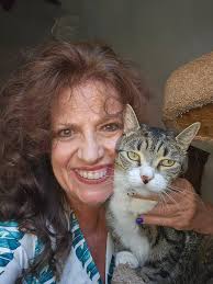 The Kia Stinger GT2, the sports car built for now. See it in Augmented  Reality with Messenger!