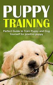 Why we do what we d. Puppy Training The Perfect Step By Step Guide To Training Your Puppy Yourself For A Positive Puppy Dog Training Puppy Training Puppy House Training Puppy Training Books Puppyhood Train Your Dog Ebook Alshehhi Abdullah Amazon Co Uk