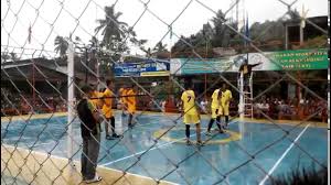 Hasil gambar untuk volly